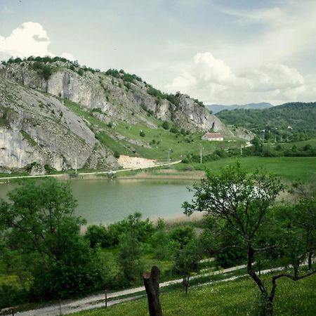 Отель Detached House Milivoje Poscenje Экстерьер фото